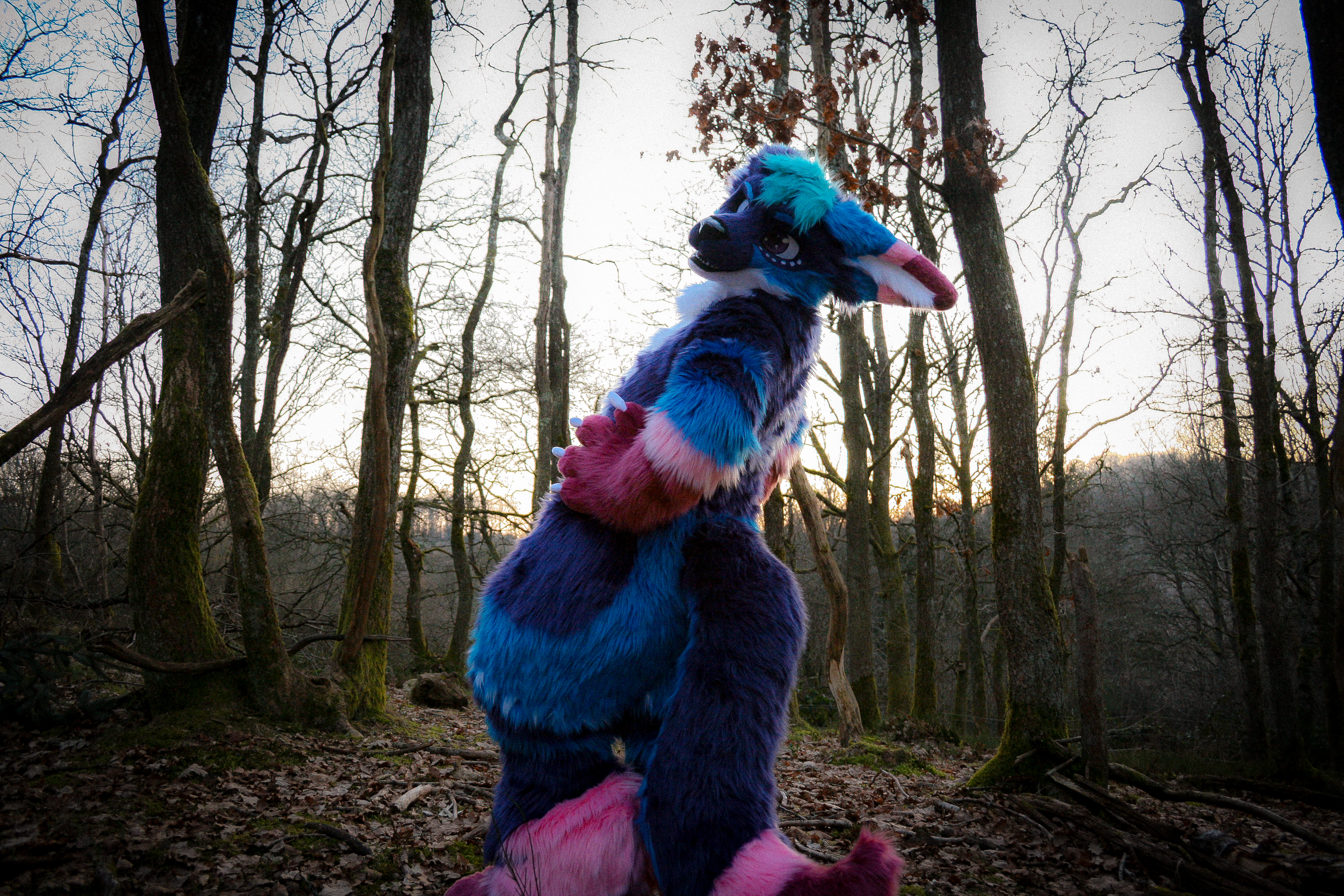 Fursuit Photo