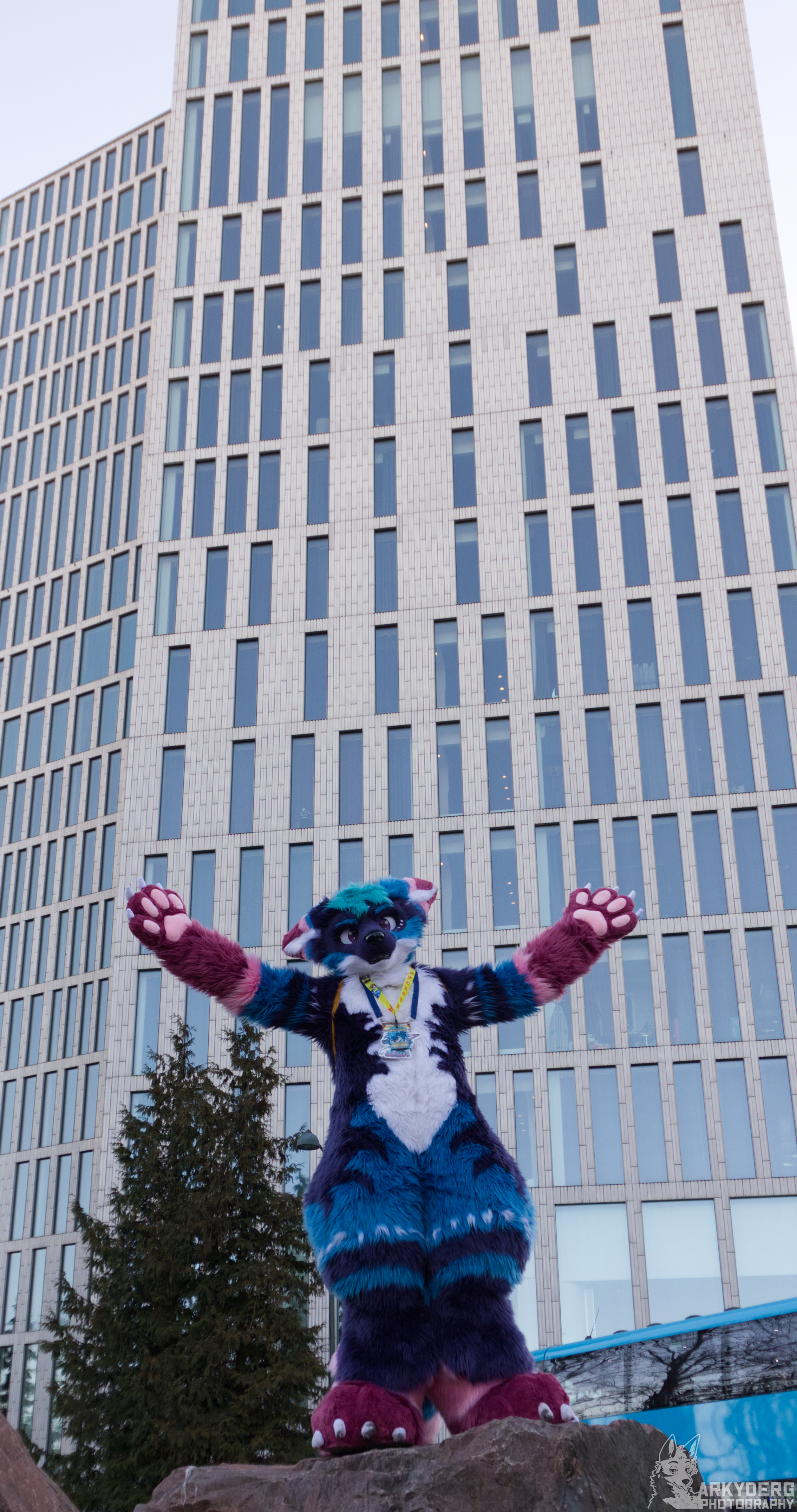 Fursuit Photo