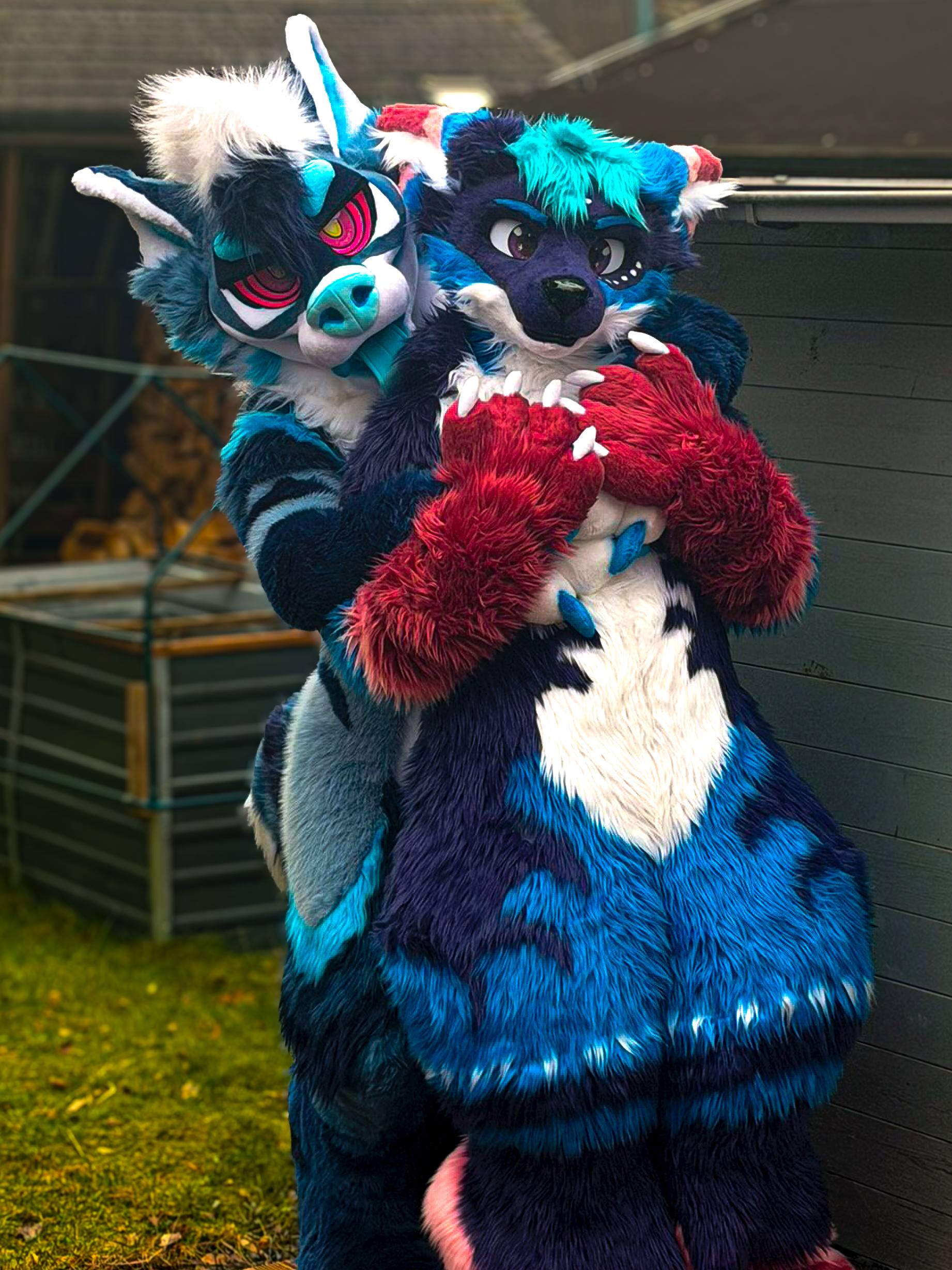 Fursuit Photo